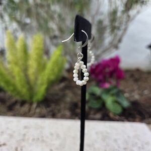 Elegant Beaded Earrings